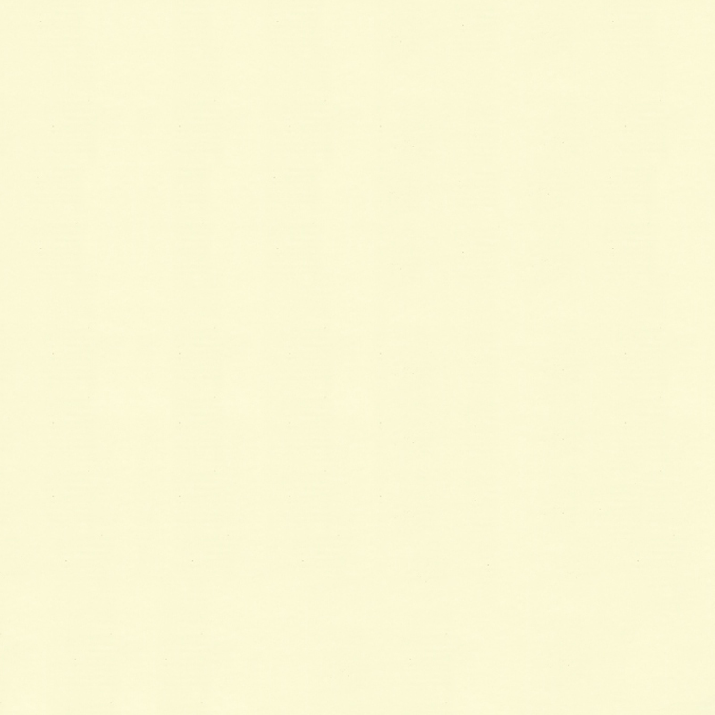 Ivory White PET Transfer Film for Living Room Decoration