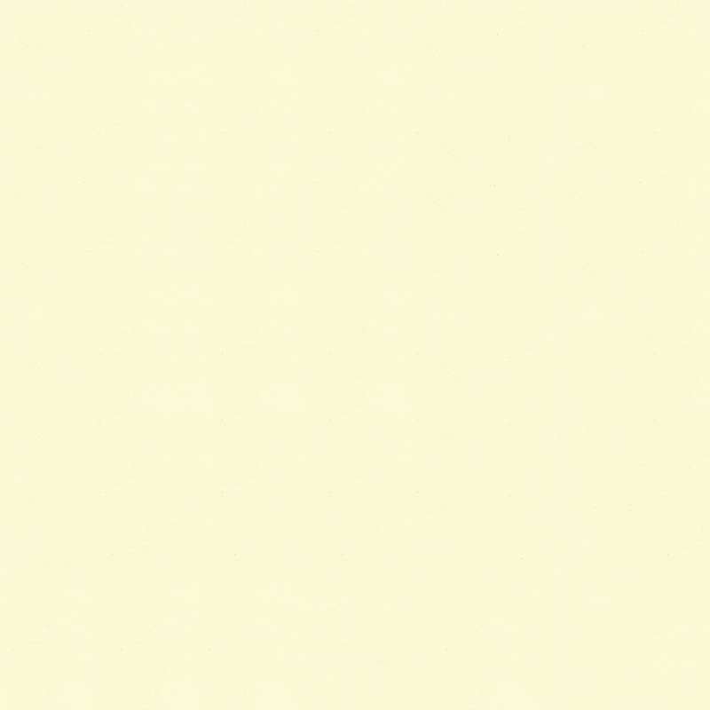 Ivory White Bedroom Wall Decoration PET Cold Transfer Film